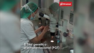 Test Genético Preimplantacional PGT [upl. by Sackville]