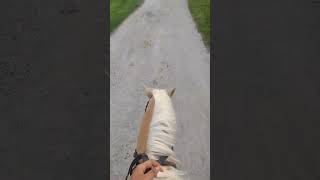 flatted w pal yesterday equestrian fypシ゚ horsebackriding [upl. by Curtice]