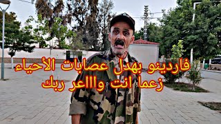 فاردينو خلطهم صحاب النقرة و عصابات الأحياء في الجزائر 😂😂😂 [upl. by Laroc543]