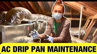 HVAC DRIP PAN MAINTENANCE [upl. by Seadon75]