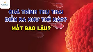 Quá trình thụ thai diễn ra như thế nào và trong bao lâu [upl. by Matheny]