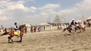 Winner Horses In Neza Bazi Competition  High Speed Runner Horse  You Must Watch [upl. by Nitas11]