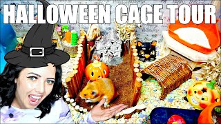 HALLOWEEN HAMSTER CAGE TOUR 🎃  PET CAGE TOUR [upl. by Larrad]