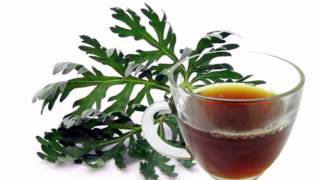 Wormwood Tea Health Benefits [upl. by Zusman]