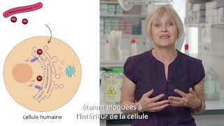 Fondamentalement appliqué  du labo aux patients avec Caroline Demangel [upl. by Vahe]