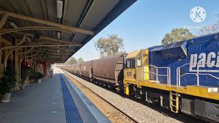 Rail scenes at MuswellbrookHunter Valley NSW Australia [upl. by Durst]