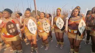 Umgungundlovu PMB ESWATINI reed dance TVYABANTU [upl. by Prisilla]