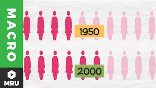 Labor Force Participation [upl. by Fessuoy902]