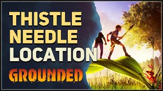 Thistle Needle Location Grounded [upl. by Tsnre]