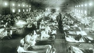 Flu Attack How A Virus Invades Your Body  Krulwich Wonders  NPR [upl. by Meehahs996]