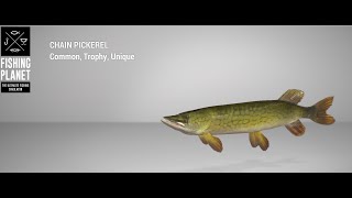 Fishing Planet  Emerald Lake  Unique  Chain Pickerel  Float [upl. by Allertse]