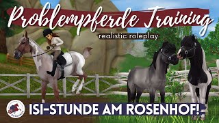 Neues Zuhause 🐴 PROBLEMPFERDETraining 🤕 Star Stable Realistic Roleplay RRP DEUTSCH FMA [upl. by Victoir585]