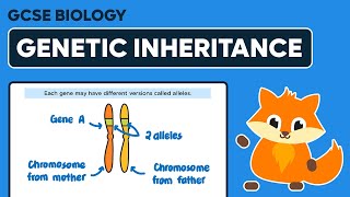 Genetic Inheritance  GCSE Biology [upl. by Artsa]