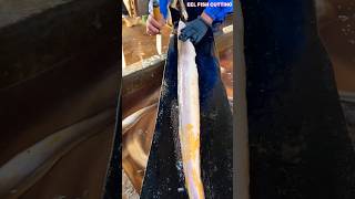 UNREAL Expert Fishmonger’s Skillful Conger Eel Cutting ASMR  Ultimate Unagi Slicing eel short [upl. by Shirberg149]