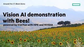 HPE Vision AI beehive demo [upl. by Hofmann]