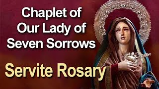 CHAPLET of OUR LADY of SEVEN SORROWS with Shorter Meditations FEAST DAY September 15 [upl. by Doretta]