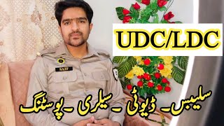 UDC LDC in Motorway police jobs information UDCLDC complete informationmotorwaymotorwaypolice [upl. by Reace607]