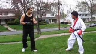 Tang Soo Do vs Wing Chun Better Version [upl. by Cesar]