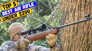 Best Air Rifle Under 200 in 2024  Top 5 Expert Picks [upl. by Ecinehs]