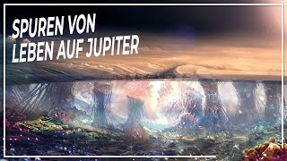 Das Leben dahinter Mysteriöse Spuren außerirdischen Lebens auf dem Jupiter  DOKUMENTAR WELTALL [upl. by Hedwig939]