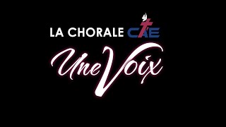 LA CHORALE CAE UNE VOIX CONCERT 2013 [upl. by Lanza983]