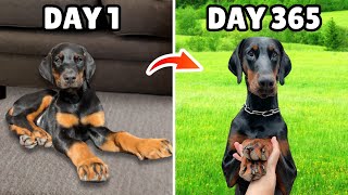 The First 365 Days with my Puppy [upl. by Cornelie86]