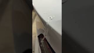 DIY Ceramic Coating ad ceramiccoating cardetailing tesla teslamodely httpsamznto3Z2ClUi [upl. by Minoru]