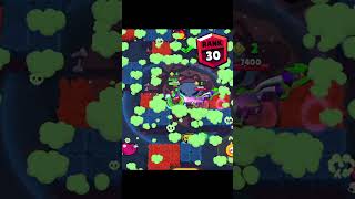 Lily Rank 135 in Showdown 😈 brawlstars [upl. by Turner]