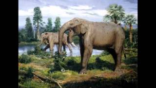 Top 10 Prehistoric Mammal Herbivores [upl. by Aniala177]