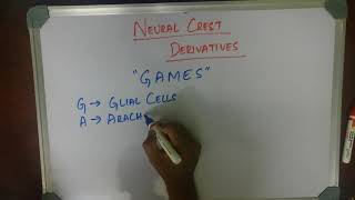 MEDICAL MNEMONIC POCKET NEURAL CREST DERIVATES [upl. by Tilla]