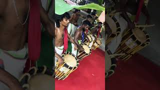 Singari melam Hyderabad  9600099719 [upl. by Tavy]