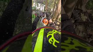 Élagage ms261arborist shortvideo stihl [upl. by Neenahs]