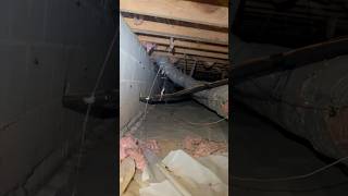 One of the MOST TERRIFYING crawl spaces I’ve been in plumber plumbing ThankGod4Plumbing [upl. by Ruvolo634]