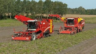 GRIMME SE 15060  trailed Potato Harvester [upl. by Boigie584]