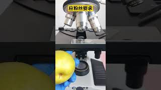 microscope shorts video 😱😱 youtubeshorts shortsvideo knowledgefactory viral [upl. by Ataliah]