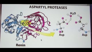 Aherns Biochemistry 13  Catalysis Mechanisms [upl. by Arlon553]