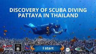 🤿 First discover scuba diving in Pattaya with the 5 diving center IDC Dive academy Thailand Diving [upl. by Nyrak16]