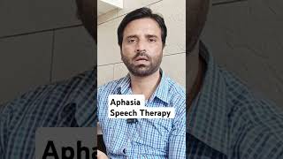 Aphasia Speech Therapy [upl. by Lalitta]