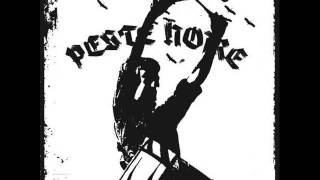 Peste Noire  Ôde [upl. by Neira]