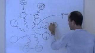 cours TS  chimie  formation de micelles [upl. by Arracat47]