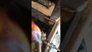 LPG GAS STOVE CHECK ✔️gas stove experement shortsfeed shots shortvideo [upl. by Melbourne410]