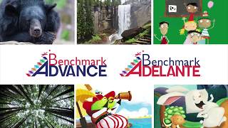 Benchmark Advance and Benchmark Adelante Overview [upl. by Gnues262]