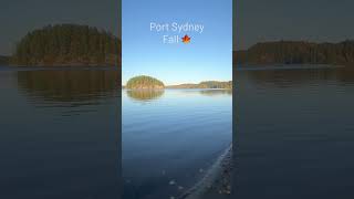 Port Sydney ontario canada fall cottage shorts fyp travel views trending [upl. by Oel834]