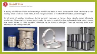 The Aspects and Advantages of the Silver Plated Copper Wires [upl. by Sams831]