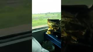 Rajdhani Express speed 140 travel atifaslam coversong song assam kartikvlogstravel [upl. by Laforge603]