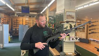 Gamo Maxxim Swarm Air Rifle Review This thing is awesome [upl. by Loftis]