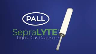 Installing a Pall SepraLYTE Liquid Gas Coalescer [upl. by Shelba]