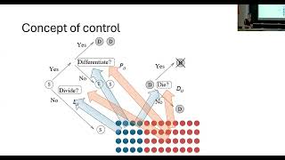 Coxeter Lecture Series Lecture 01  Stem cells tissue architecture and cancer evolution [upl. by Bernarr]