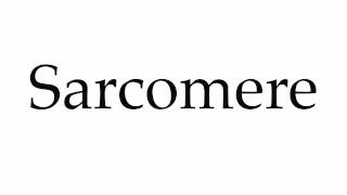 How to Pronounce Sarcomere [upl. by Weinreb415]