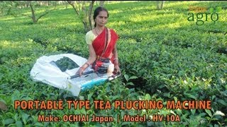 Tea Harvester Portable Type 410 mm  OCHIAI Japan Operated by Women Worker [upl. by Pepin512]